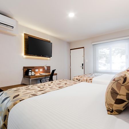 Sleep Inn Monterrey Norte San Nicolás de los Garzas Dış mekan fotoğraf