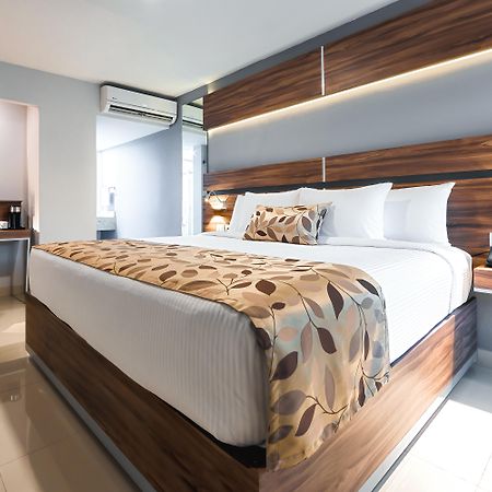 Sleep Inn Monterrey Norte San Nicolás de los Garzas Dış mekan fotoğraf